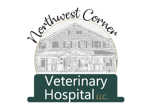 Northwest sales veterinary clinic